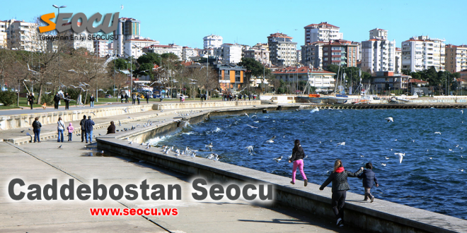 Caddebostan seocu