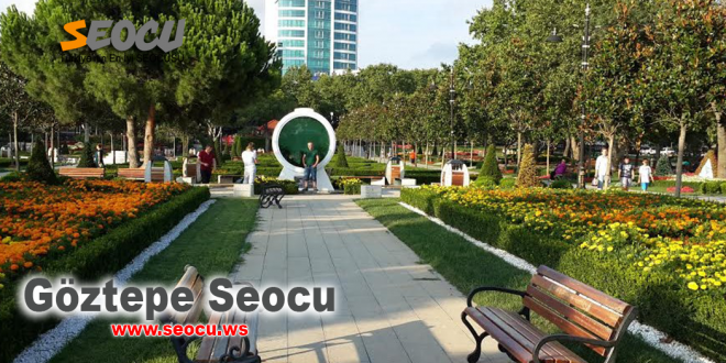Göztepe Seocu