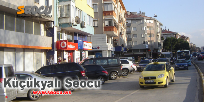 Küçükyalı seocu