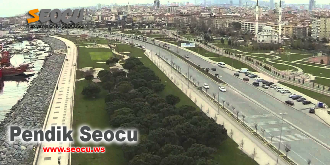 Pendik seocu