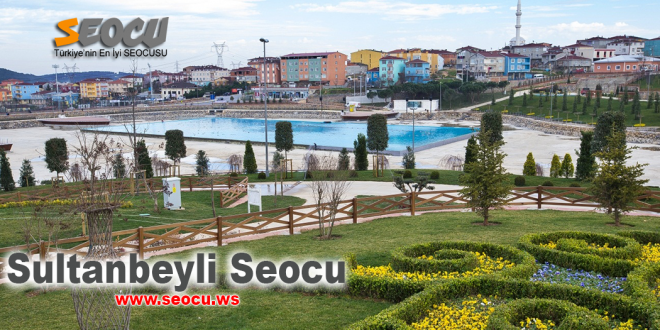 Sultanbeyli seocu