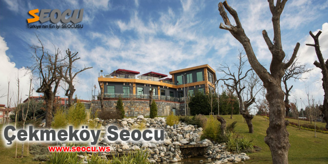 Çekmeköy seocu