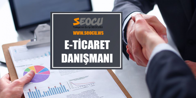 E-Ticaret Danışmanı