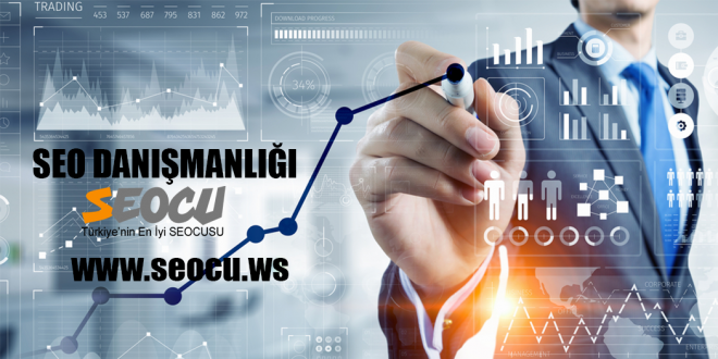 Seo Danışmanlığı