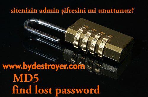 Wordpress MD5 123456