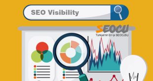 SEO Visibility Arama Görünürlüğü Kaybını Önlemek