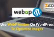 WebP Görüntüleri ile SEO Performansınızı Geliştirin