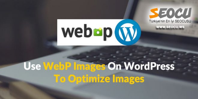 WebP Görüntüleri ile SEO Performansınızı Geliştirin