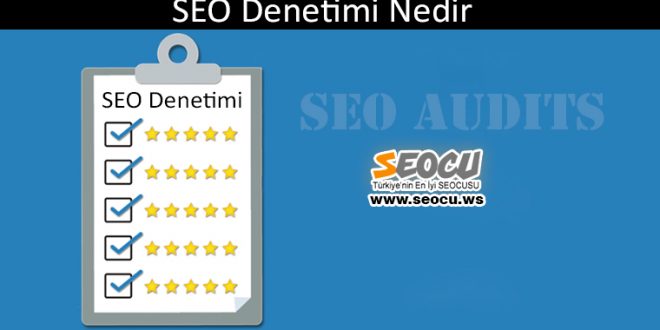 SEO Denetimi Nedir?