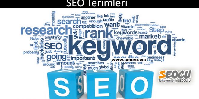 SEO Terimleri