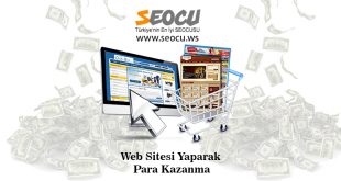 Web Sitesi Yaparak Para Kazanma