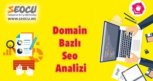 Domain Bazlı Seo Analizi