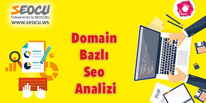 Domain Bazlı Seo Analizi