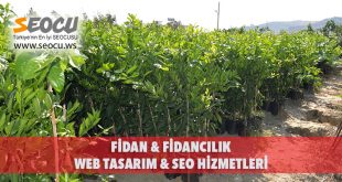 Fidan & Fidancılık Web Tasarım & Seo Hizmetleri