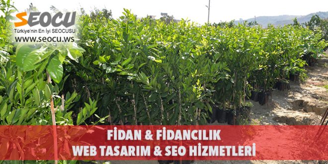 Fidan & Fidancılık Web Tasarım & Seo Hizmetleri