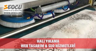 Halı Yıkama Web Tasarım & Seo Hizmetleri