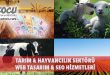 Tarım & Hayvancılık Sektörü Web Tasarım & Seo Hizmetleri