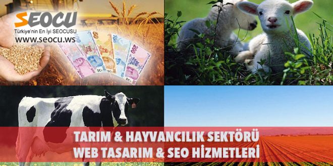 Tarım & Hayvancılık Sektörü Web Tasarım & Seo Hizmetleri