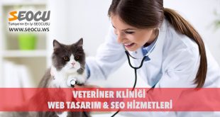 Veteriner Kliniği Web Tasarım & Seo Hizmetleri