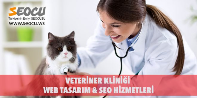 Veteriner Kliniği Web Tasarım & Seo Hizmetleri