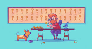 4 Adımda Anahtar Kelime Araştırması