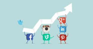 Sosyal Sinyaller Arama Trafiğini Nasıl Etkiler