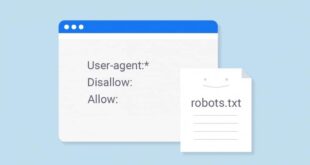 Adım Adım Organik Trafik Artırma Yolları