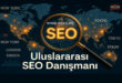 Uluslararası SEO Danışmanı