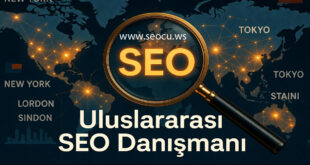 Uluslararası SEO Danışmanı